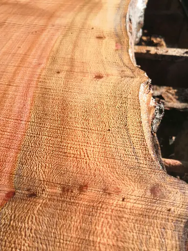 [BL-PLA-608] Boule Platane - 608