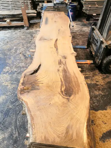 [BL-CHE-647] Boule Chêne Commun - 647