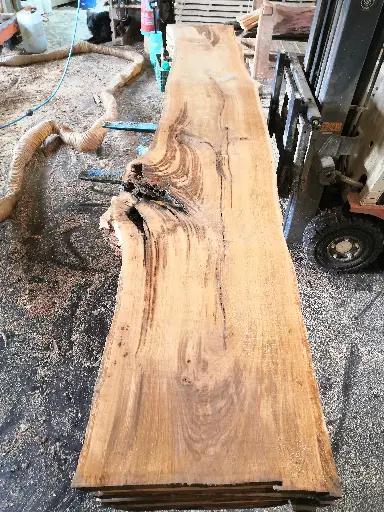 [BL-CHE-652] Boule Chêne Commun - 652