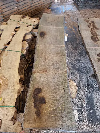 [PL-CHE-657-6] Plateau Chêne Commun 48 x 440-480 x 2050 mm de la boule 657 - 6