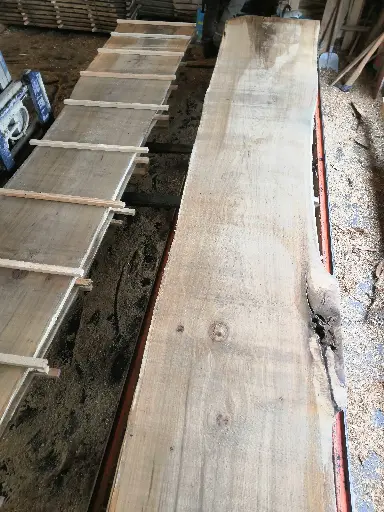 [BL-CHE-664] Boule Chêne Commun - 664