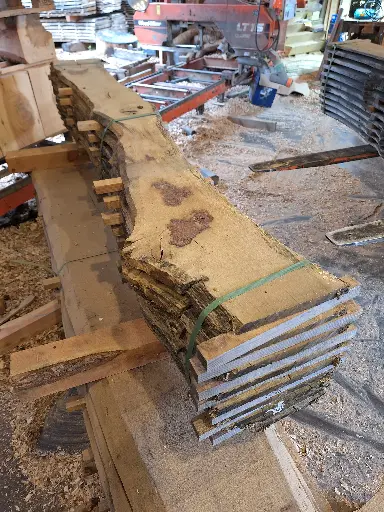 [BL-CHE-702] Boule Chêne Commun - 702