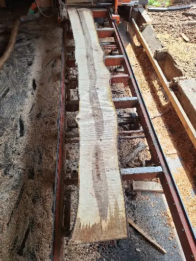 [BL-NOY-930] Boule Noyer - 930