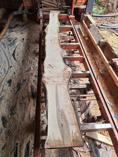 [PL-NOY-931-2] Plateau Noyer 28 x 230-370 x 3950 mm de la boule 931 - 2