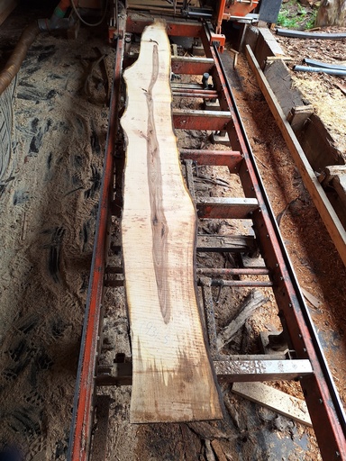 [PL-NOY-931-5] Plateau Noyer 28 x 250-330 x 3650 mm de la boule 931 - 5