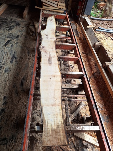 [PL-NOY-931-6] Plateau Noyer 28 x 230-310 x 3550 mm de la boule 931 - 6