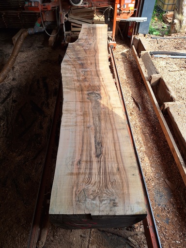 [PL-FRE-932-5] Plateau Frêne 53 x 560-680 x 4040 mm de la boule 932 - 5