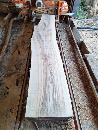 [PL-FRE-932-7] Plateau Frêne 53 x 540-670 x 4040 mm de la boule 932 - 7