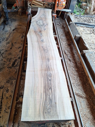 [PL-FRE-932-8] Plateau Frêne 53 x 480-640 x 4040 mm de la boule 932 - 8