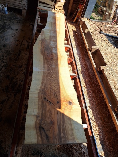 [PL-FRE-938-6] Plateau Frêne 53 x 530-710 x 4000 mm de la boule 938 - 6