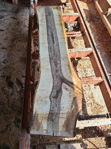 [BL-NOY-939] Boule Noyer - 939