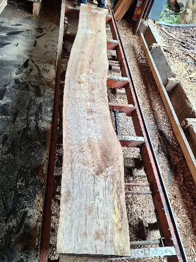 [BL-FRE-940] Boule Frêne - 940