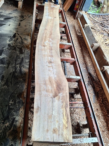 [PL-FRE-940-4] Plateau Frêne 38 x 440-460 x 3850 mm de la boule 940 - 4