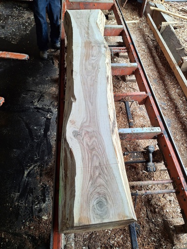 [PL-CHR-943-1] Plateau Chêne Rouge 53 x 250-320 x 2420 mm de la boule 943 - 1