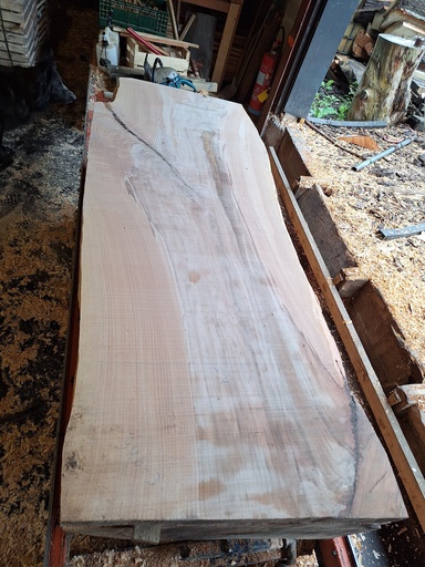 [PL-HET-946-3] Plateau Hêtre 83 x 740-860 x 2180 mm de la boule 946 - 3