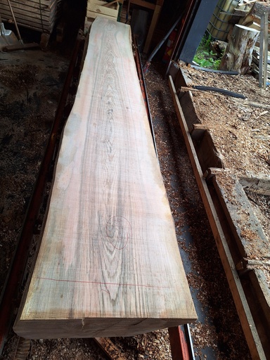 [PL-FRE-950-3] Plateau Frêne 43 x 520-710 x 4050 mm de la boule 950 - 3