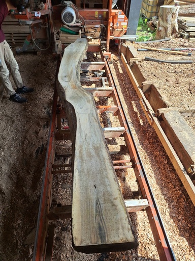 [PL-NOY-956A-1] Plateau Noyer 18 x 240-350 x 4000 mm de la boule 956A - 1