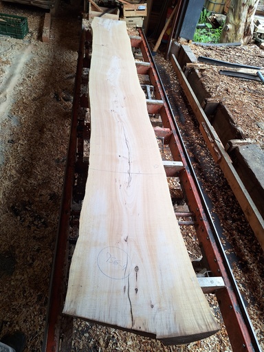 [PL-HET-956B-4] Plateau Hêtre 43 x 490-530 x 4140 mm de la boule 956B - 4