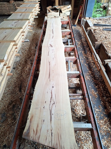 [PL-HET-956B-6] Plateau Hêtre 40 x 430-510 x 4140 mm de la boule 956B - 6