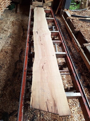 [PL-HET-956B-7] Plateau Hêtre 43 x 340-450 x 4140 mm de la boule 956B - 7