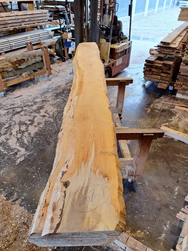 [PL-HET-967-1] Plateau Hêtre 43 x 270-410 x 4000 mm de la boule 967 - 1