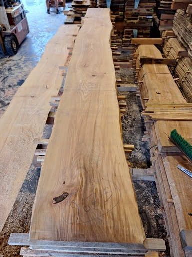 [PL-HET-967-5] Plateau Hêtre 43 x 400-430 x 4000 mm de la boule 967 - 5