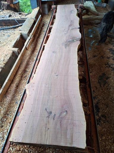 [PL-PLA-968-3] Plateau Platane 43 x 570-690 x 4050 mm de la boule 968 - 3