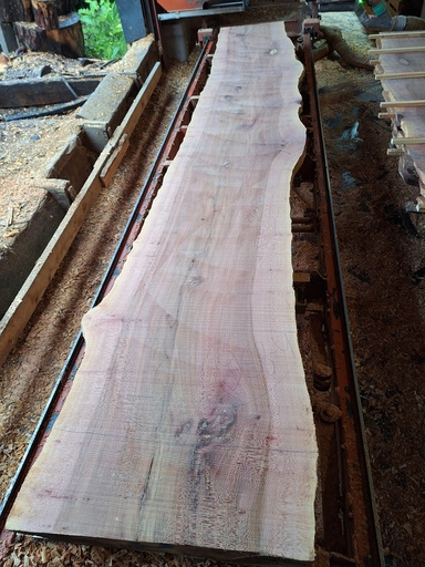 [PL-PLA-968-4] Plateau Platane 43 x 580-710 x 4050 mm de la boule 968 - 4