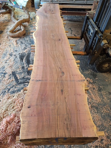 [PL-PLA-968-5] Plateau Platane 43 x 530-660 x 4050 mm de la boule 968 - 5