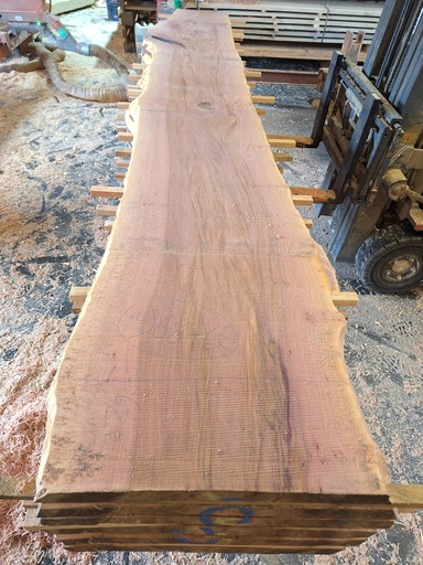 [PL-PLA-968-6] Plateau Platane 43 x 460-620 x 4050 mm de la boule 968 - 6