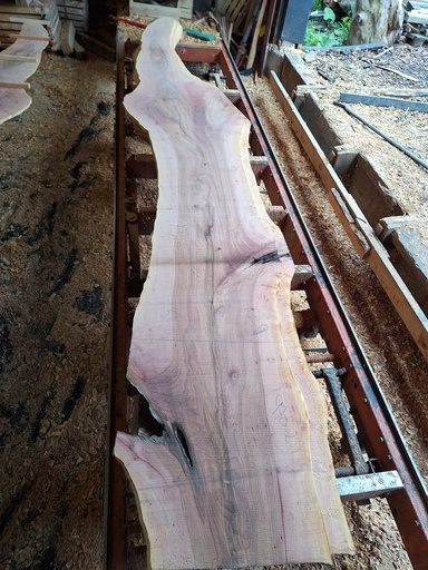 [PL-PLA-970-2] Plateau Platane 38 x 430-510 x 2820 mm de la boule 970 - 2