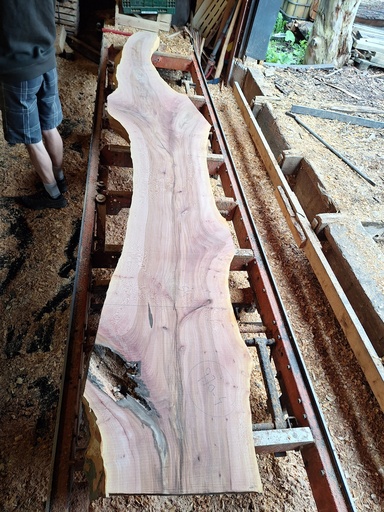 [PL-PLA-970-4] Plateau Platane 18 x 220-520 x 4000 mm de la boule 970 - 4