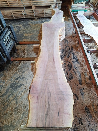 [PL-PLA-970-9] Plateau Platane 18 x 300-540 x 4000 mm de la boule 970 - 9