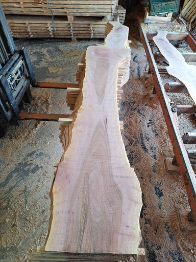 [PL-PLA-970-10] Plateau Platane 18 x 300-500 x 4000 mm de la boule 970 - 10