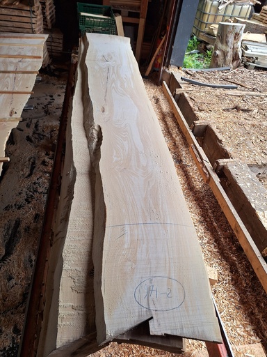 [PL-HET-971-2] Plateau Hêtre 53 x 440-580 x 4100 mm de la boule 971 - 2