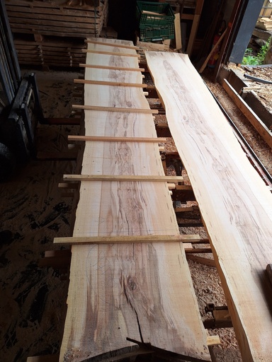 [PL-HET-971-6] Plateau Hêtre 53 x 590-670 x 4100 mm de la boule 971 - 6