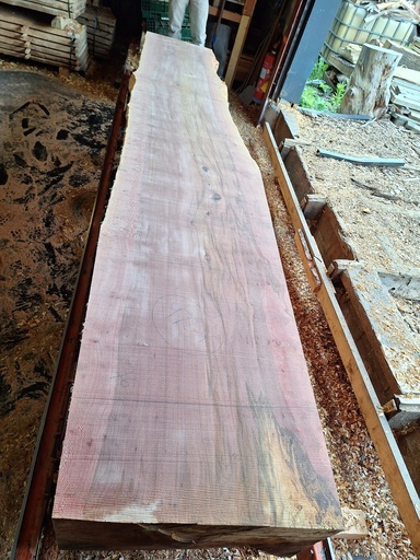 [PL-PLA-972-4] Plateau Platane 53 x 620-760 x 4100 mm de la boule 972 - 4