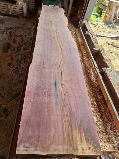 [PL-PLA-972-5] Plateau Platane 53 x 660-760 x 4100 mm de la boule 972 - 5