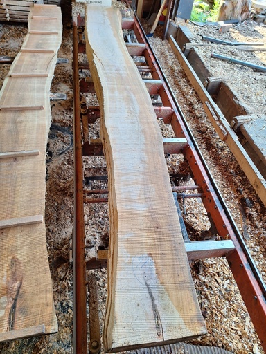 [PL-MER-975-2] Plateau Merisier 38 x 330-380 x 3600 mm de la boule 975 - 2