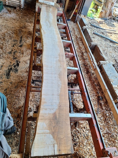 [PL-MER-975-3] Plateau Merisier 38 x 350-440 x 3400 mm de la boule 975 - 3