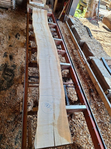 [PL-MER-975-4] Plateau Merisier 38 x 360-460 x 3400 mm de la boule 975 - 4