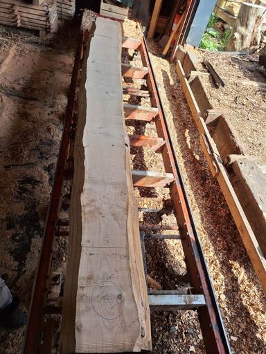 [PL-MER-978-1] Plateau Merisier 28 x 240-310 x 4040 mm de la boule 978 - 1