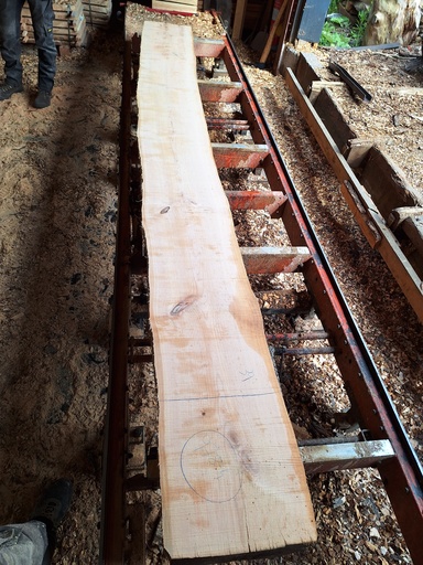 [PL-MER-978-4] Plateau Merisier 28 x 390-430 x 4040 mm de la boule 978 - 4