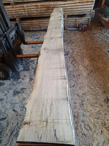 [PL-HET-980-6] Plateau Hêtre 43 x 220-370 x 3980 mm de la boule 980 - 6