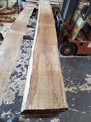 [PL-HET-981-6] Plateau Hêtre 43 x 380-390 x 3990 mm de la boule 981 - 6