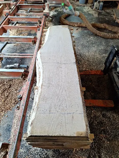 [BL-CHR-983] Boule Chêne Rouge - 983