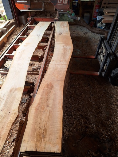 [PL-MER-986-5] Plateau Merisier 43 x 330-390 x 4030 mm de la boule 986 - 5