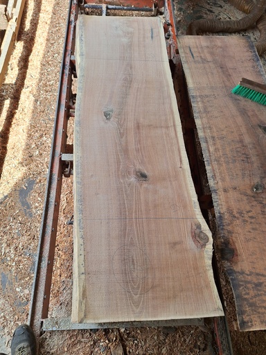 [PL-CHR-988-4] Plateau Chêne Rouge 53 x 590-610 x 1980 mm de la boule 988 - 4