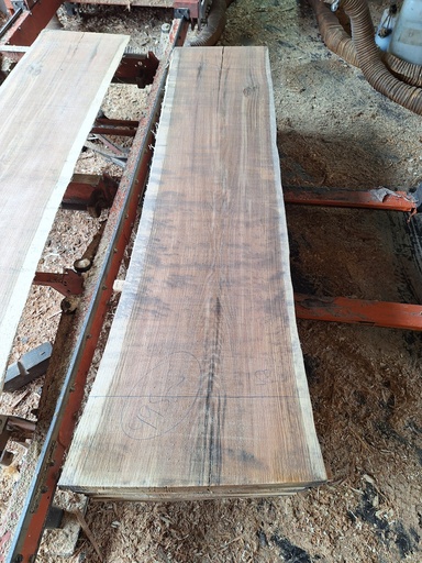 [PL-CHR-995-5] Plateau Chêne Rouge 43 x 480-580 x 2020 mm de la boule 995 - 5