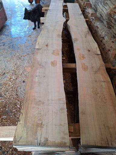 [PL-FRE-997-4] Plateau Frêne 28 x 360-400 x 4100 mm de la boule 997 - 4